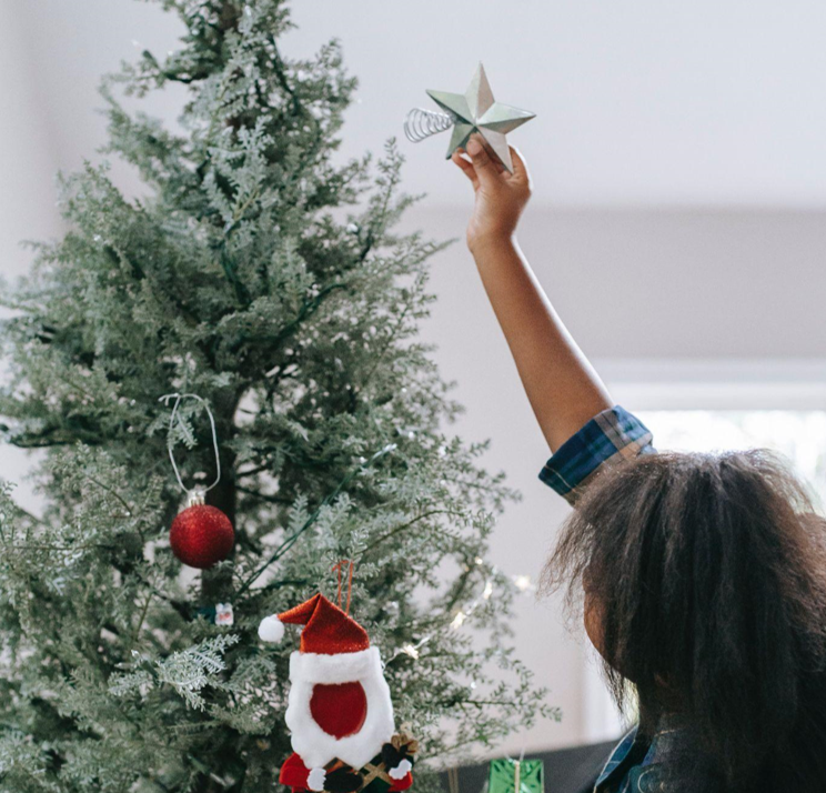 Christmas in July Sales on Christmas Trees